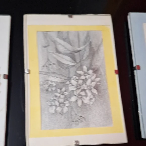 Vintage Botanical Art Trio | Signed BARSS | Pressed Leaf & Sketches - Picture 3 of 9